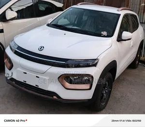 New Dongfeng EV EX1 2025 White