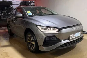 New BYD E2 43 kWh 94 hp FWD 2024 Silver