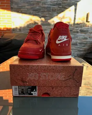 Air Jordan 4 Bike