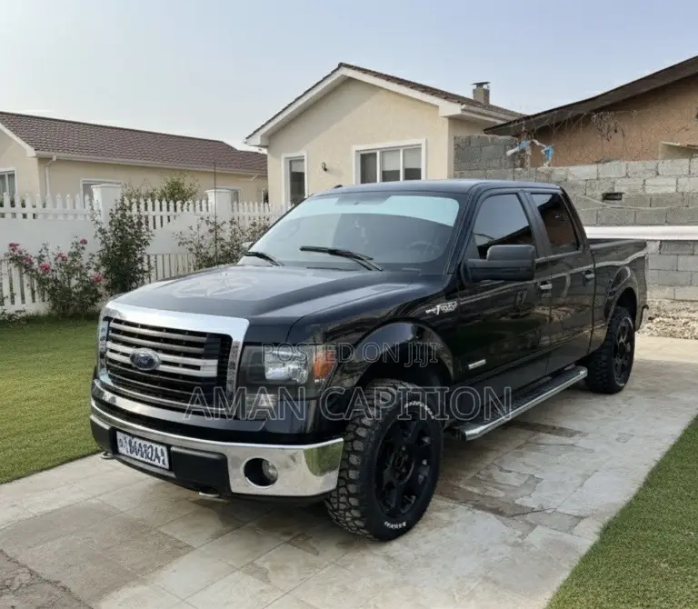 Ford F-150 2015 Black