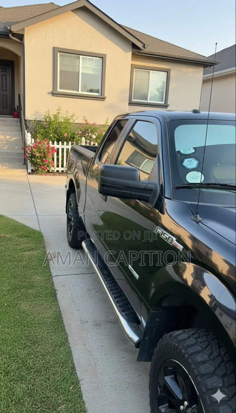 Ford F-150 2015 Black