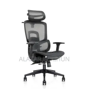 Metal Back Ergonomic Chair/Flexible Back and Seat