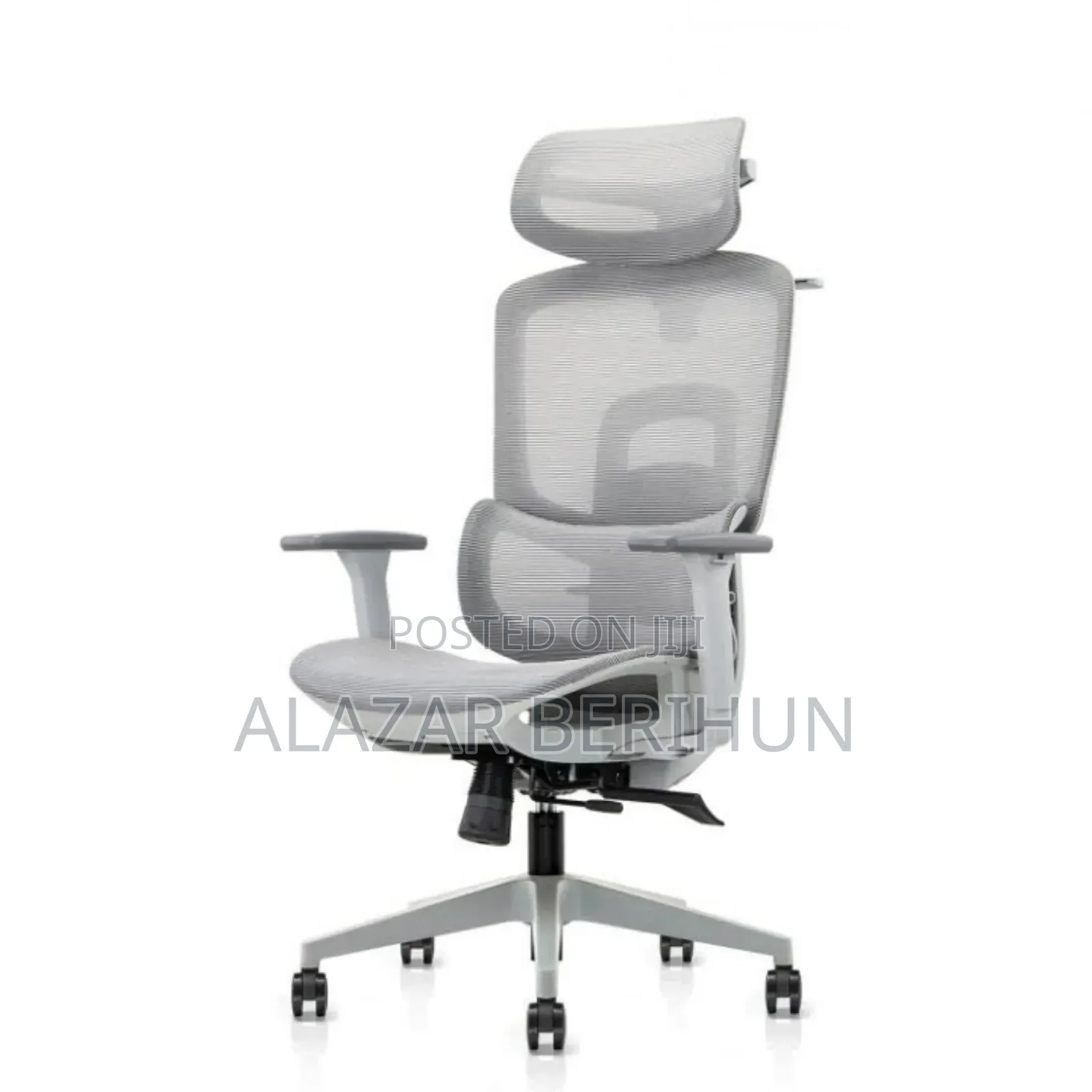 Metal Back Ergonomic Chair/Flexible Back and Seat