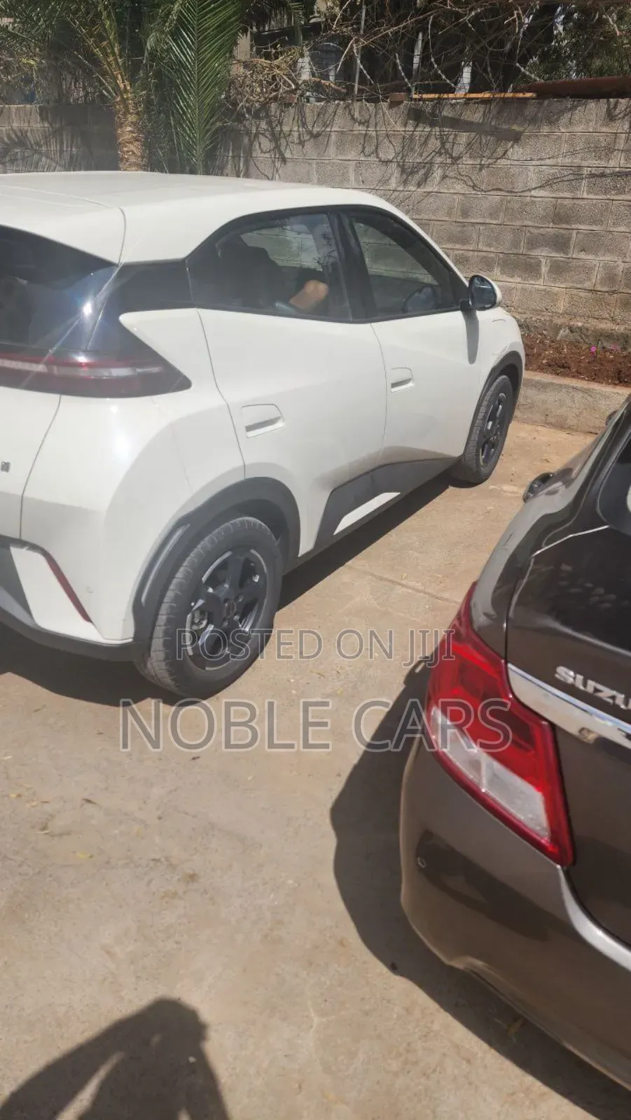 BYD Seagull 2024 White