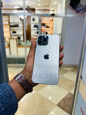 Apple iPhone 13 Pro Max 256 GB Silver