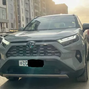 Toyota RAV4 Hybrid 2022 Green