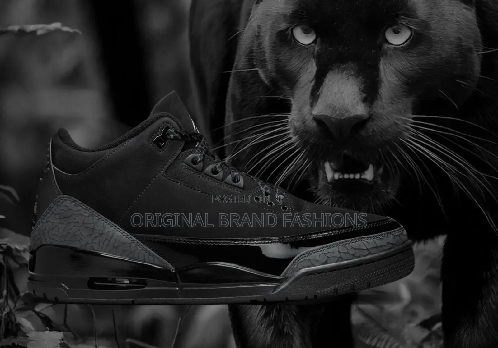 Jordan 3 Black Cat