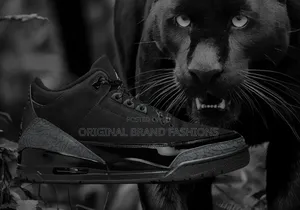 Jordan 3 Black Cat