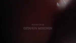 New BYD Seagull 2025 White