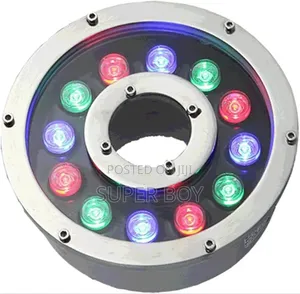 የፉዉንቴን መብራት/Fountain Light