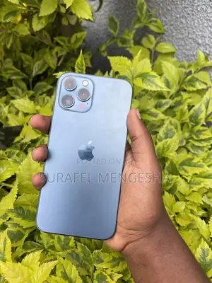 Apple iPhone 12 Pro Max 256 GB Blue