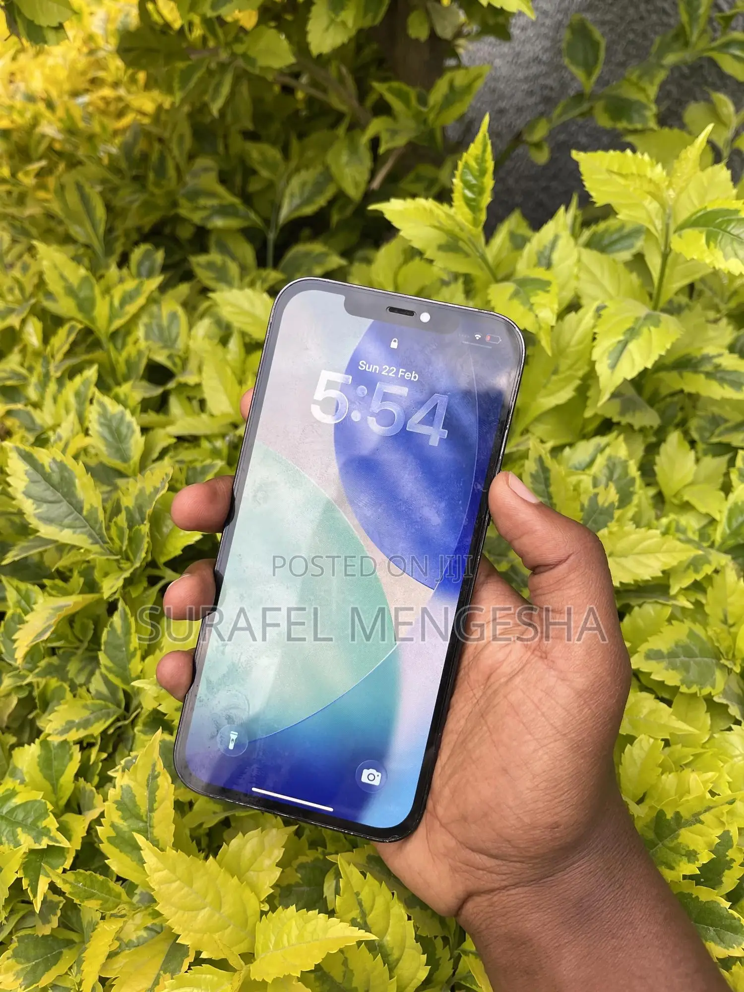 Apple iPhone 12 Pro Max 256 GB Blue