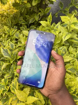 Apple iPhone 12 Pro Max 256 GB Blue