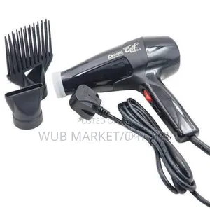 Ceriotti Professional Hair Dryer