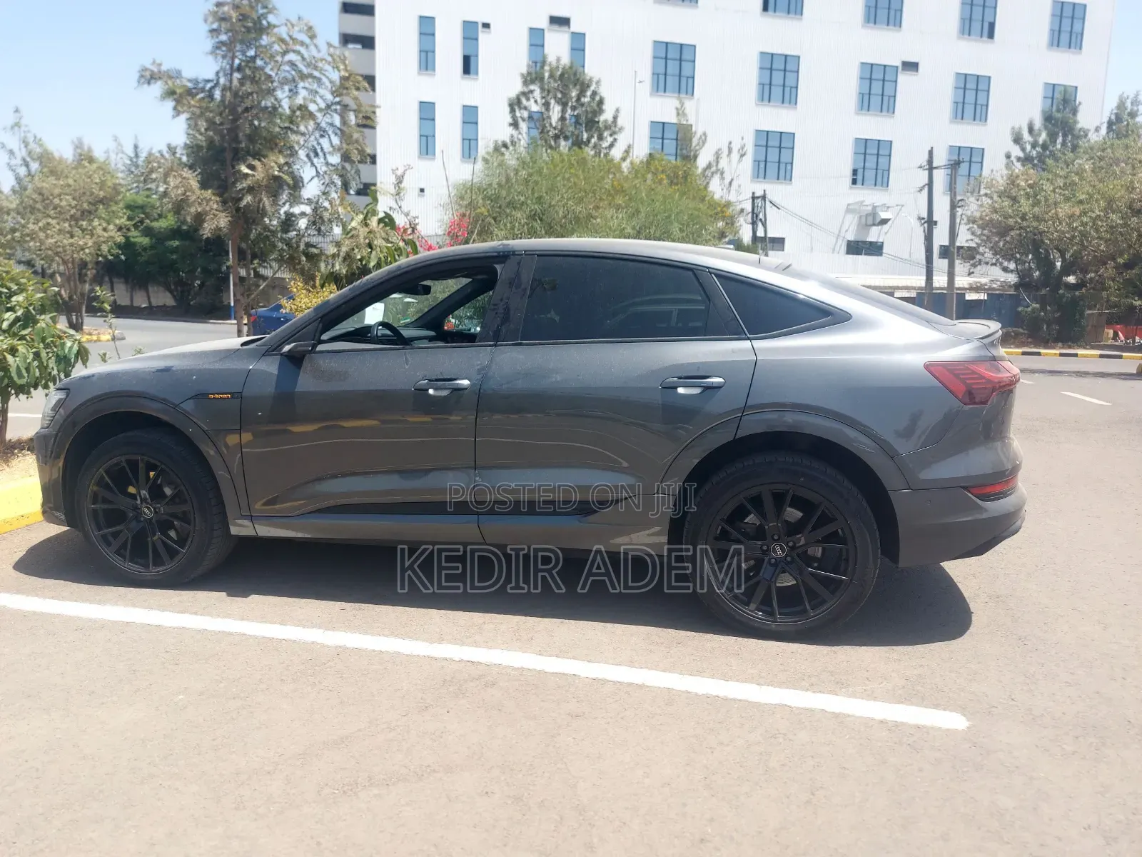 New Audi Q8 2024 Silver