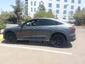 New Audi Q8 2024 Silver