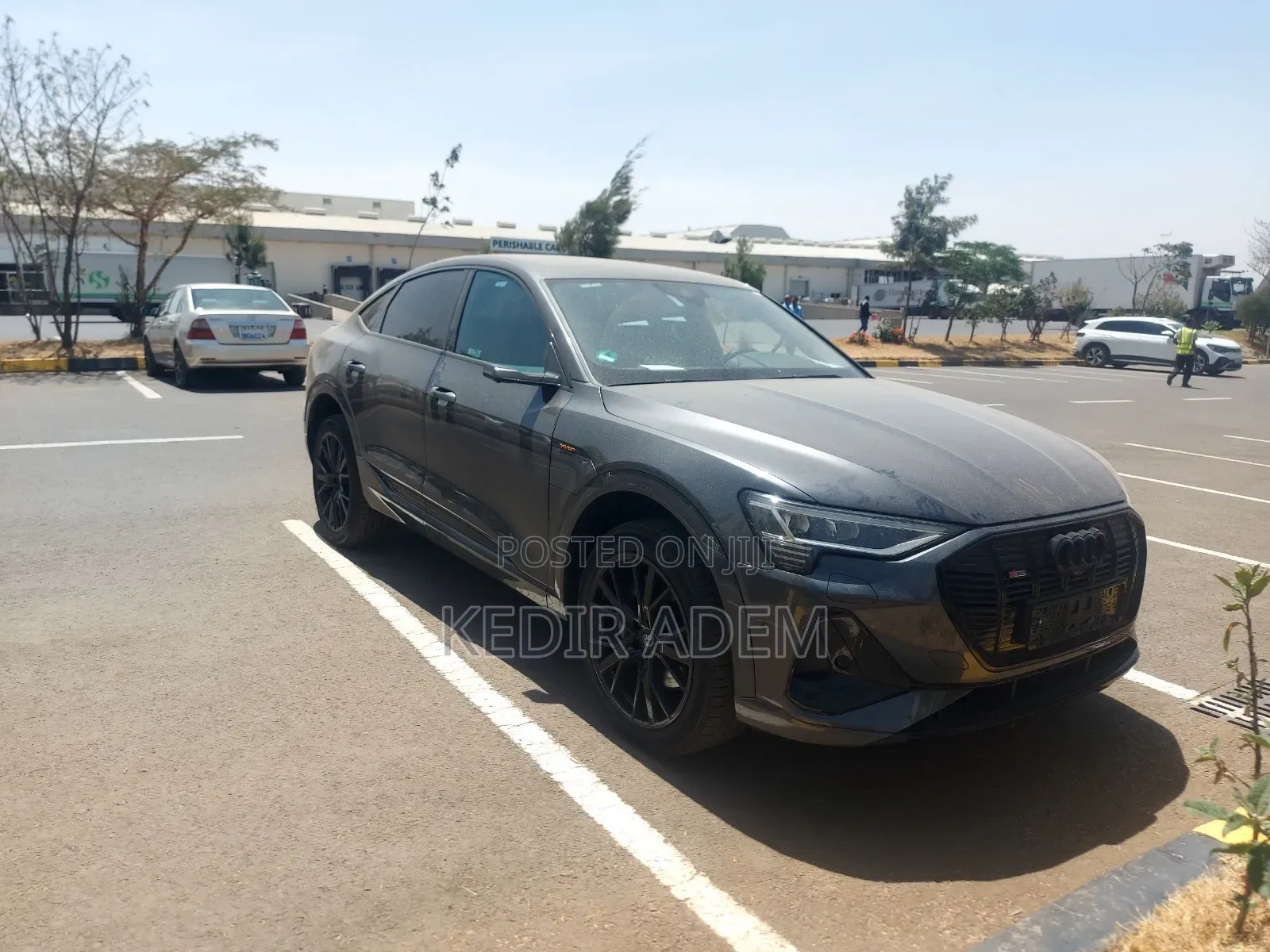 New Audi Q8 2024 Silver