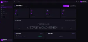 Full Stack Developer