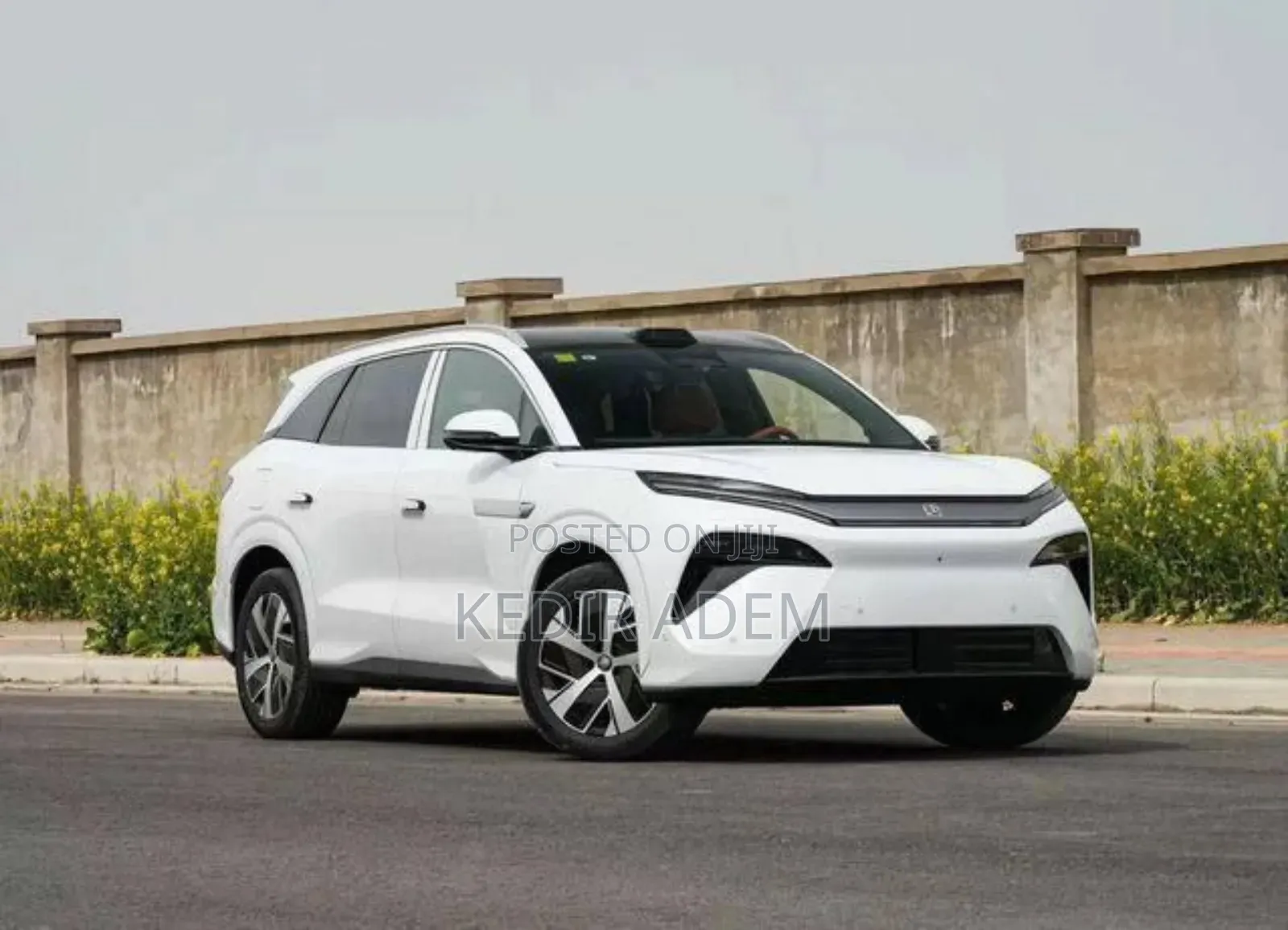 New BYD Tang DM-i 2025 White