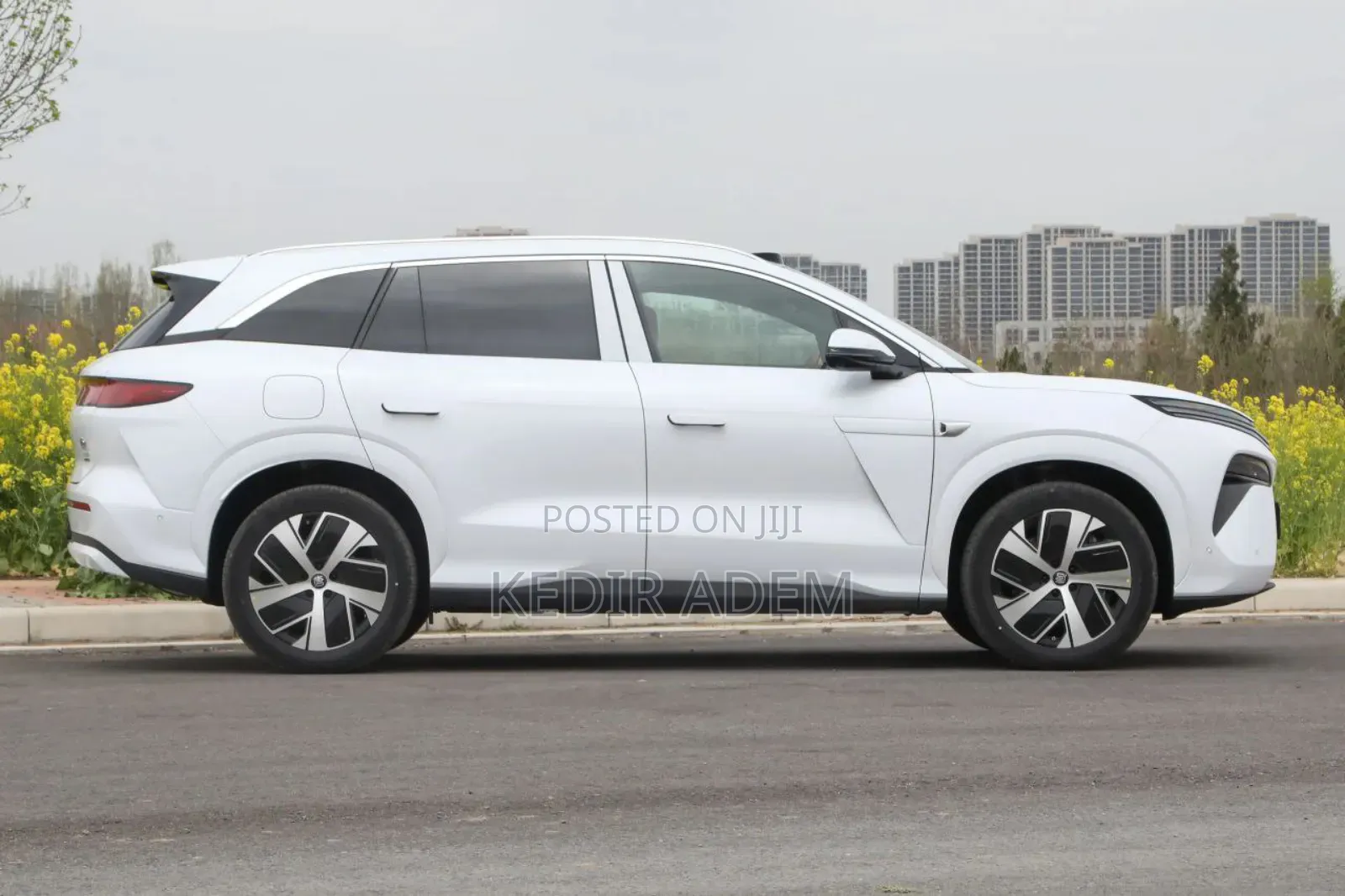 New BYD Tang DM-i 2025 White