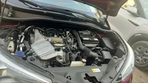 Toyota C-HR 2021 Red