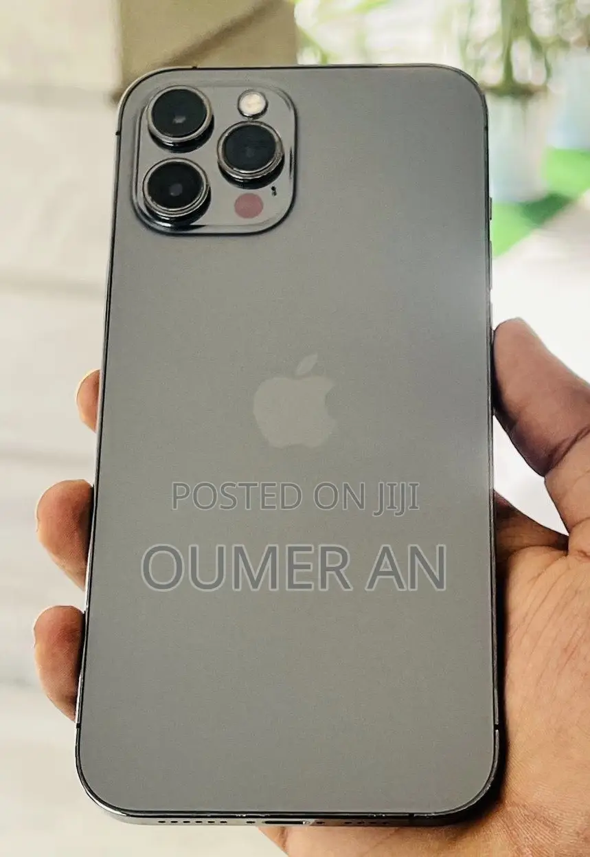 Apple iPhone 12 Pro Max 256 GB Gray