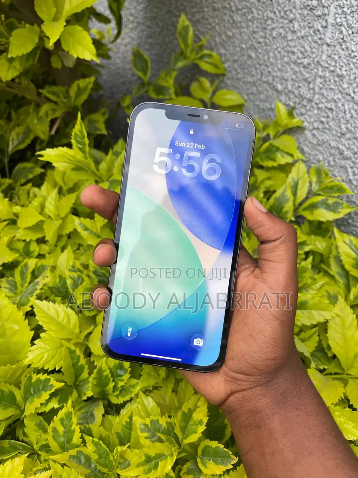 Apple iPhone 12 Pro Max 256 GB Blue
