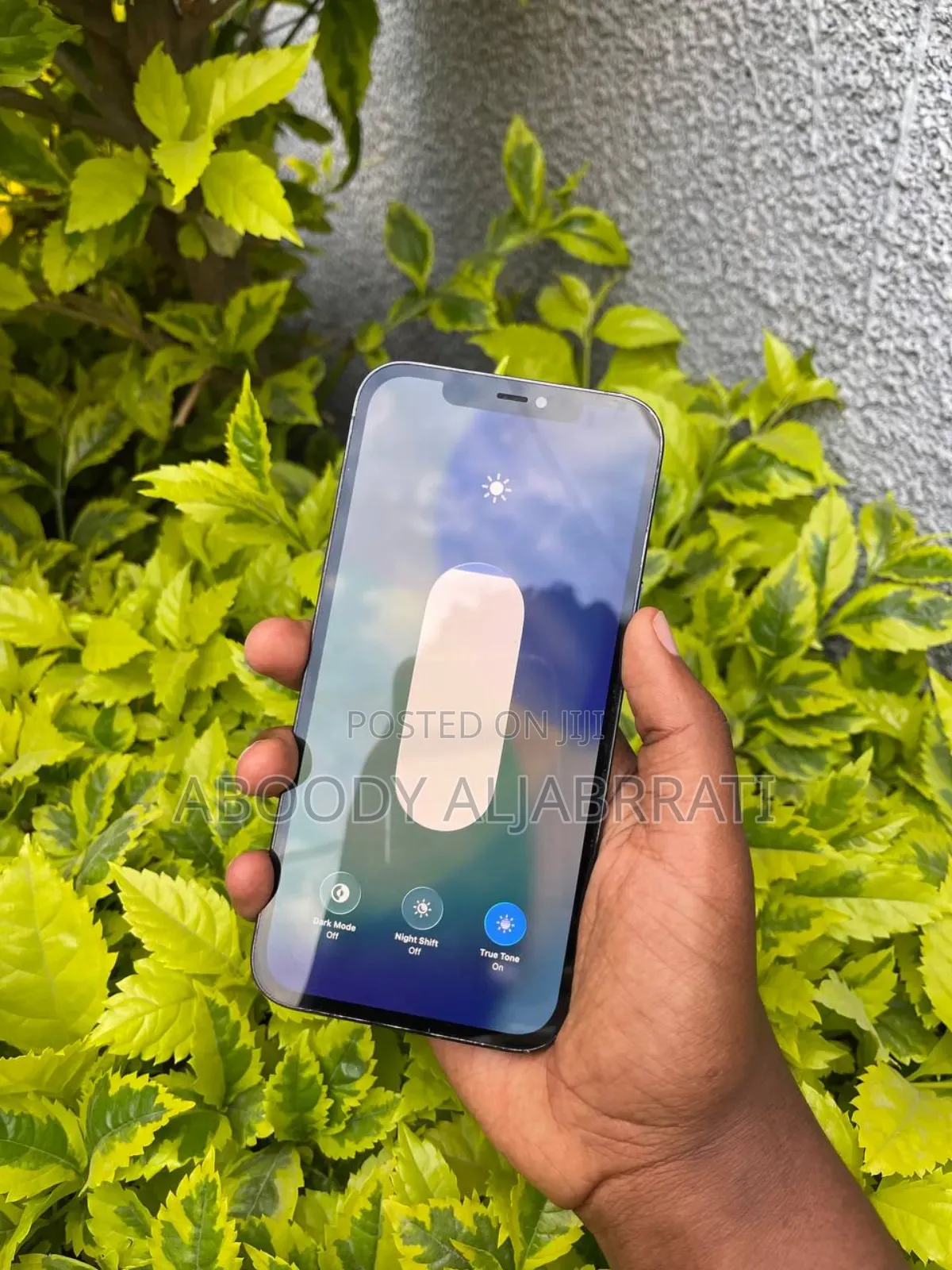 Apple iPhone 12 Pro Max 256 GB Blue