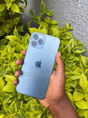 Apple iPhone 12 Pro Max 256 GB Blue