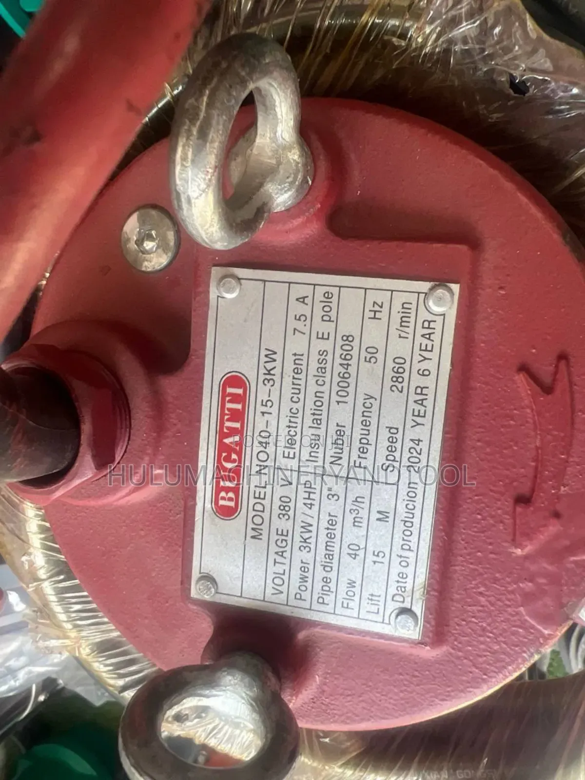 Bugatti Submersible Pump