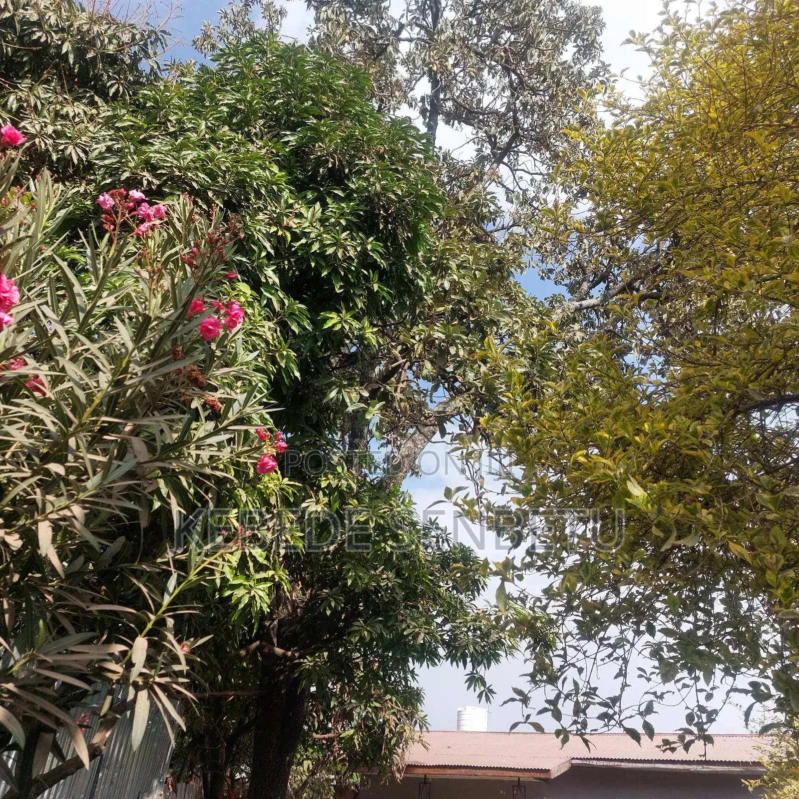 4bdrm House in Oromia, East Shewa for sale