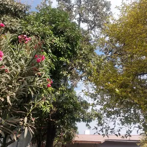 4bdrm House in Oromia, East Shewa for sale