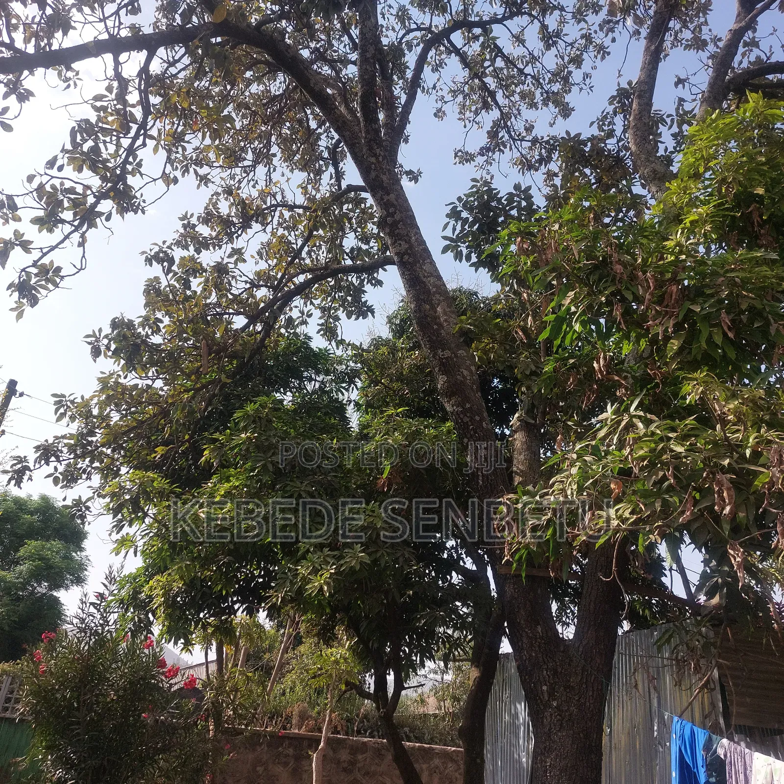 4bdrm House in Oromia, East Shewa for sale