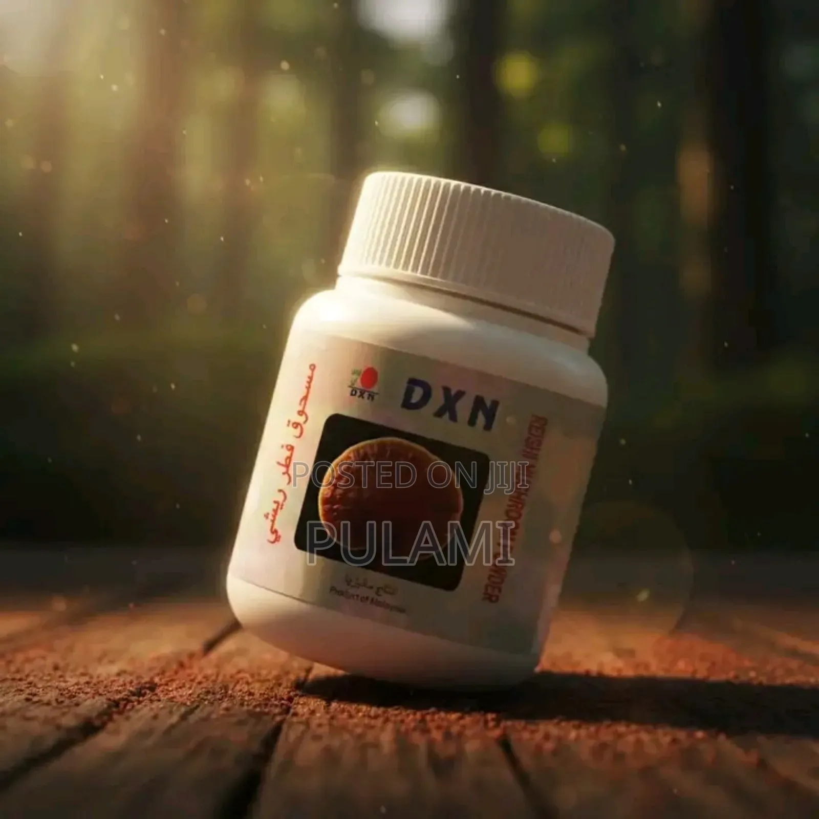 Reishi Mushroom Powder