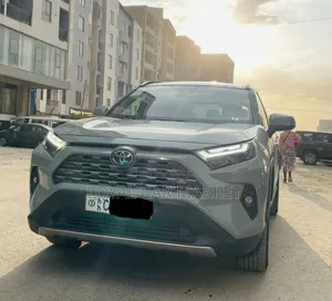 Toyota RAV4 2022 Gray