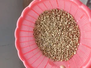 Export Standar Coffe for Exporter Onlye