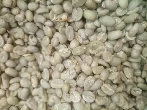 Export Standar Coffe for Exporter Onlye