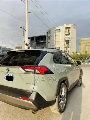 Toyota RAV4 2022 Green
