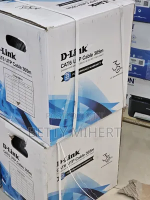 D-Link Cat6 Cable
