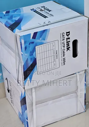 D-Link Cat6 Cable