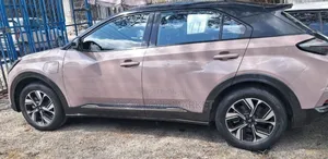 Hozon Neta U 2023 Brown