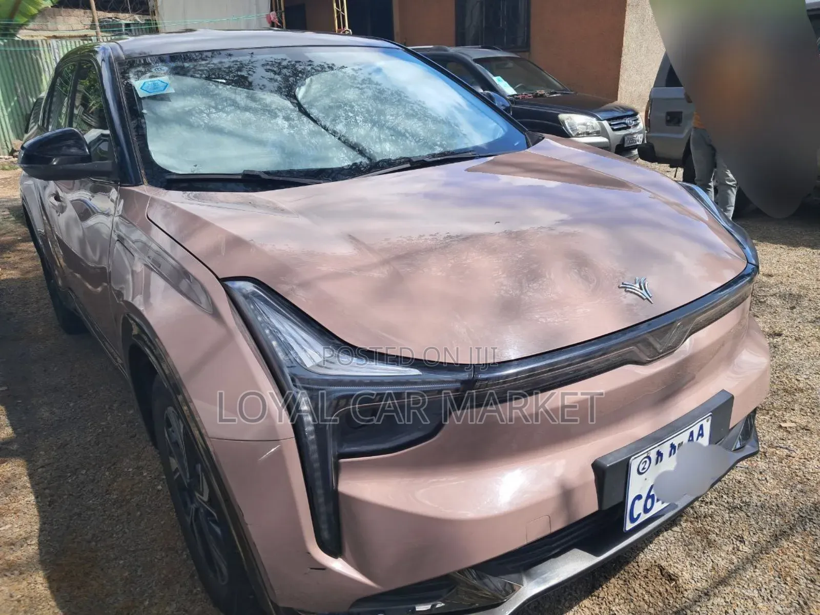 Hozon Neta U 2023 Brown