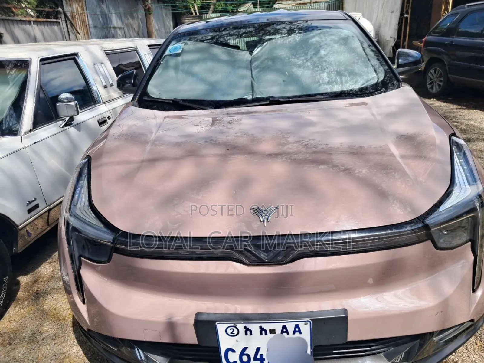 Hozon Neta U 2023 Brown