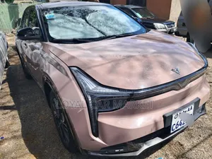 Hozon Neta U 2023 Brown