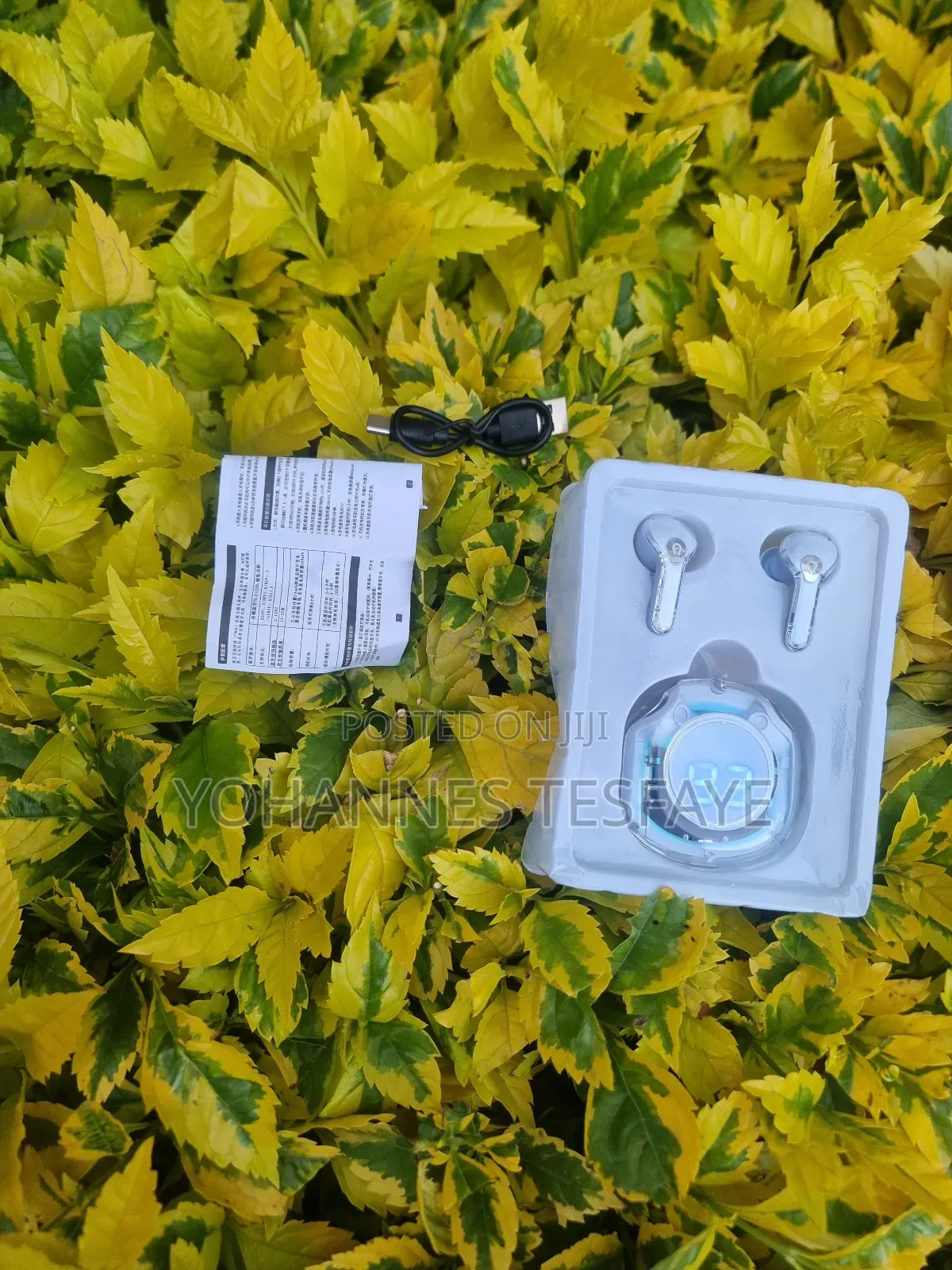 Ultrapods Pro Wireless Earbuds