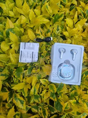 Ultrapods Pro Wireless Earbuds