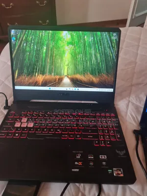 Laptop Asus TUF Gaming FX504 8GB AMD Ryzen 5 HDD+SSD 512GB