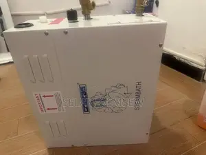 Electrical Steam Generator