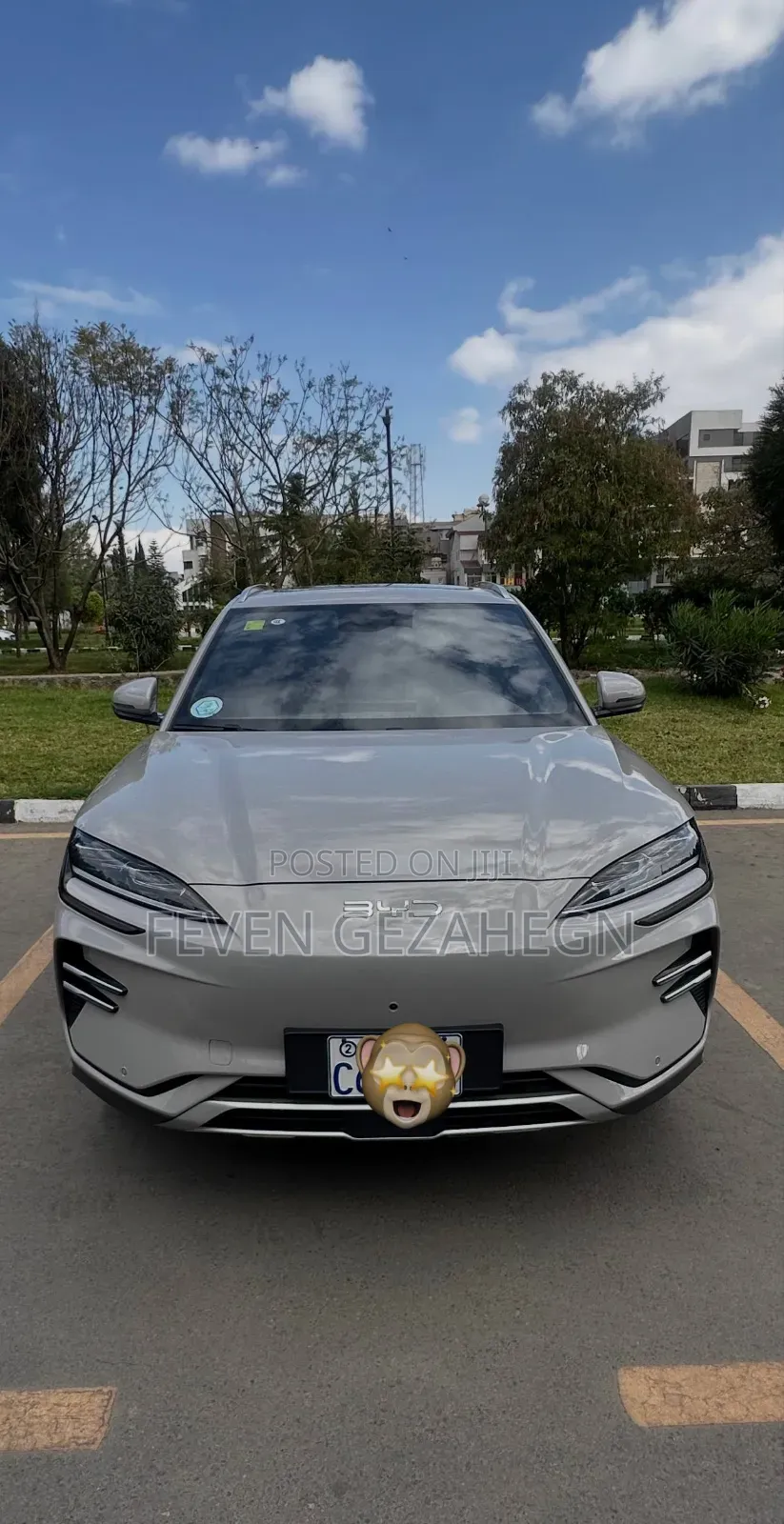 BYD E5 450 2020 Silver