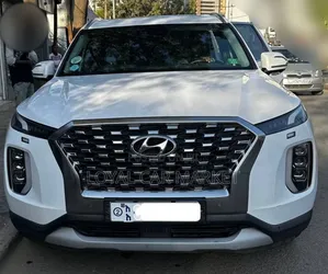 Hyundai Palisade 2021 White